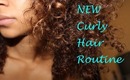 NEW Curly Routine ♥ Wash & Go