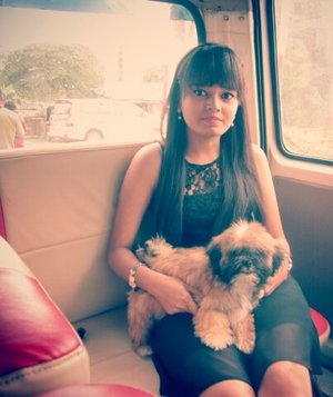 my new hairstyle # my cute lhasa apso pup # teddy # out for a party