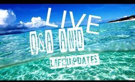 Disney Weddings, Reseller Goals, and MORE! | LIVE Q&A and Life Updates