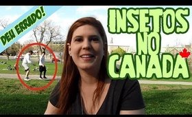 Deu errado: Insetos no Canada!