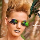 Peacock Inspired