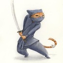 Ninja Kitteh