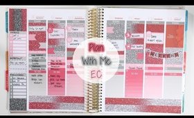 Plan With Me | Feb 8-14, 2016 (Erin Condren Vertical)