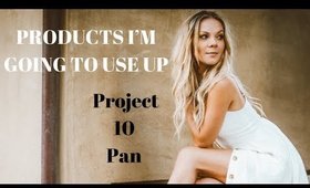 Products I'm Going To Use Up | PROJECT 10 PAN | Violetartistry