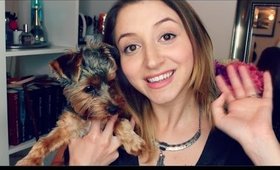 PUPPY HAUL #3 | Nutrition, Treats, Dental Care | PUPPY Says Hello!