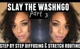 HOW TO | DIFFUSE, STRETCH, & STYLE A WASHNGO | NaturallyCurlyQ