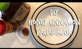 DIY | Honey Cinnamon mask | Beauty by Jannelle