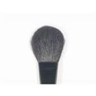 Powder Brush