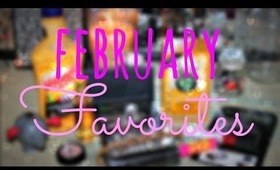 Feburary Favorites 2014