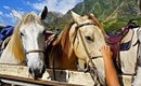 HORSEBACK RIDING AT KUALOA RANCH (HAWAII)| WANDERLUSTYLE VLOG