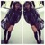 Shiraine W.