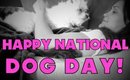 VLOGust: Happy National Dog Day!