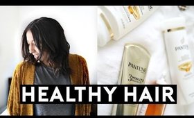 Healthy Hair Journey