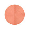 NYX Cosmetics Single Eyeshadow Orange - Frosty/Sheer