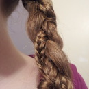 Braid with a fishtail