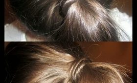 How To:  Everyday Ponytail