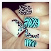 nails zebra