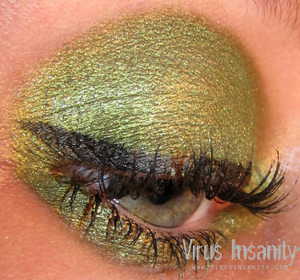 Virus Insanity eyeshadow, Decomposed.

www.virusinsanity.com