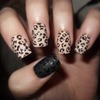 leopard all the way