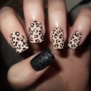 leopard all the way