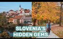 Exploring Lesser Known Parts of Slovenia! | Otočec & Novo mesto