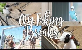 A Trip to the Zoo: On Taking Breaks