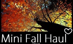Mini Fall Haul