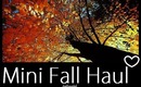 Mini Fall Haul