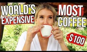 WORLD’S MOST EXPENSIVE COFFEE TESTED (Made from Cat Poop) BALI