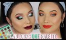 TWO LOOKS ONE PALETTE | BH Cosmetics x Daisy Marquez Palette