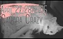 VLOG | April 27th & 28th 2015 Camera Crazy Cats | Queen Lila