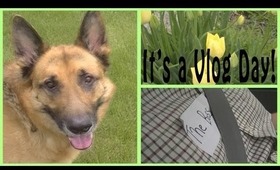 Vlog: Who Let the Dogs Out?! (May 17, 2013)