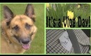 Vlog: Who Let the Dogs Out?! (May 17, 2013)