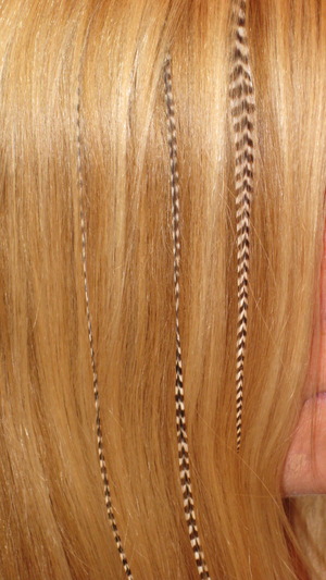 Feather Hair Extensions