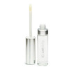 CoverGirl Wetslicks Lipgloss Clear Radiance 360