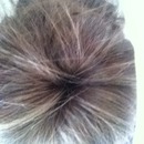 Hair bun 