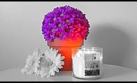 Potted Flower Ball | DIY Home Decor