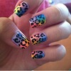 Neon cheetah