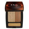 Dior Dior Bronze Lumières D'or Face And Lip Palette