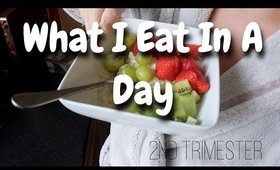 Second Trimester - WHAT I EAT IN A DAY | Danielle Scott