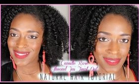 BEST TWIST OUT EVER!! #TwistOut #CamilleRoseNaturals l TotalDivaRea