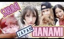 Japan Vlog: SAKURA ❤️ Hanami with friends in TOKYO!