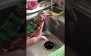 Zeke The Chameleon Say Wash Your Hands