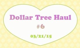 Dollar Tree Haul #6 - 03/21/15 [PrettyThingsRock]