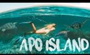 SWIMMING WITH SEA TURTLES in APO ISLAND !! Dumaguete Philippines