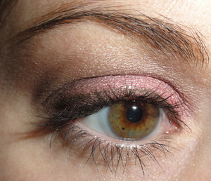 Shimmery Pink and Brown Makeup of the Day