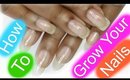 HOW TO GROW YOUR NAILS FAST!