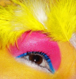 I am a mother of 2 year olds so I see Big Bird frequently. As soon as the idea hit me all I could see was my beautiful Sugarpill pallets! The color over the top of the Dollipop is Decora and it is the gift sample I have been hoarding for something fun like this. It's little zippy bag is hidden..in a safe..far far away where no children will find it. 