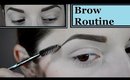 Easy Eye Brow Routine | Anastasia Dipbrow