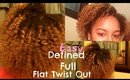 Flat Twist Out for Full Defined Natural Hair